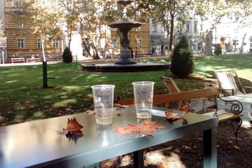 Private 1.5-Hour Guided Walking Tour of Zagreb