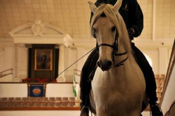 Jerez Day Trip from Gibraltar with Horse Show and Sherry Tasting