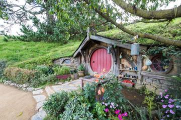 Full-Day Hobbiton Movie Set Small-Group Tour from Tauranga