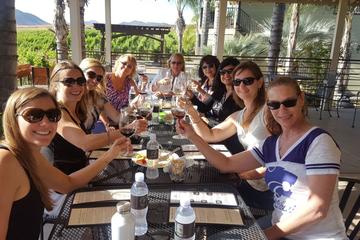 Guided Temecula Wine Tour from San Diego