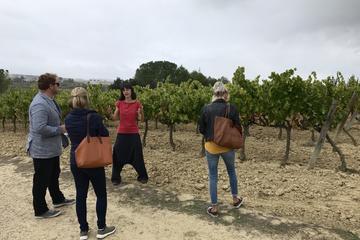 Early Entrance Montserrat & Gourmet Cava Tour from Barcelona