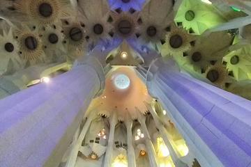 Skip the Line La Sagrada Família Express Tour
