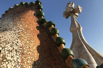 The Complete Gaudi Tour with Casa Batlló, La Pedrera, Park Guell & Extended Sagrada Família