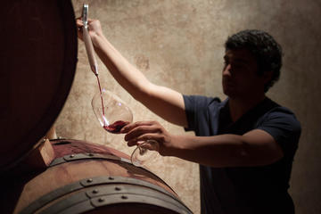 Boutique Winery Tours and Tastings from Mendoza