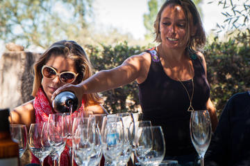 Full-Day Wine Tasting in Mendoza