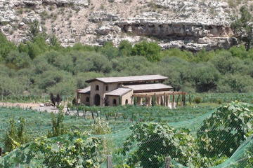 Alcantara Estate Vineyards Tour