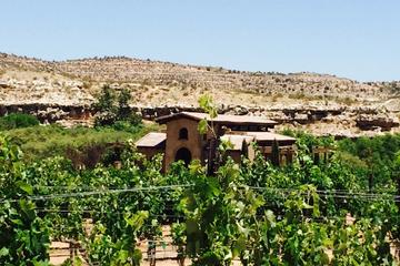 THE TERRIOR OF THE VERDE VALLEY WINE TRAIL EXPERIENCE