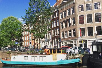 Private Guided Barrier-Free City Tour of Amsterdam