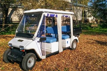Private Appian Way (Appia Antica) Tour in Rome by Golf Cart