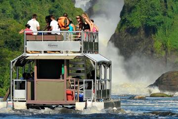 6 Days Bwindi Gorilla Kibale and Murchison falls Safari