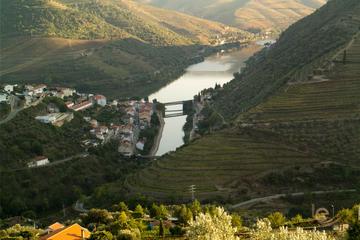 Private Full-Day Douro Valley Tour Including Wine Tasting