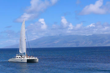 Whalewatch Sail Lahaina