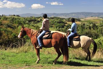 Horseback Outride