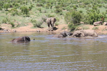Private Pilanesberg Game Drive