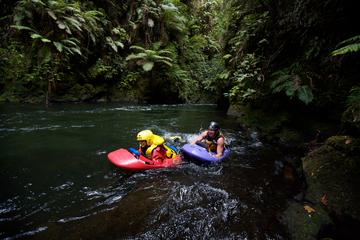 White-Water Sledging Adventure