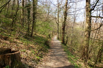 Medvednica Hiking and Chestnuts Picking Tour from Zagreb