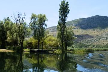 Neretva Photo Safari and estuary Beach with full lunch