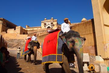 08 DAYS CULTURAL INDIA TOUR