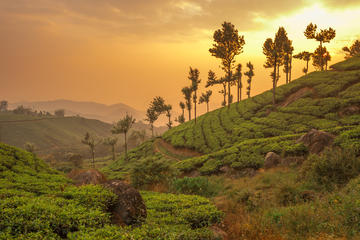 Kerala in 05 Days