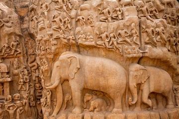 Wonderful Culture of Tamil Nadu 14 Day Tour