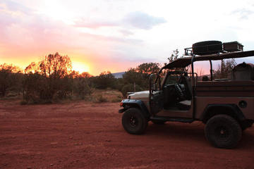 Sunrise or Sunset Wildlife Safari Tour by Jeep from Sedona