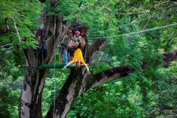 Full Day Borinquen Adventure Tour