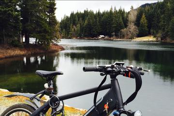 Guided Electric Bike Tour in Whistler