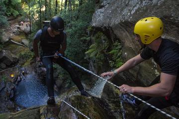 Blue Mountains Empress Canyon Adventure from Wentworth Falls