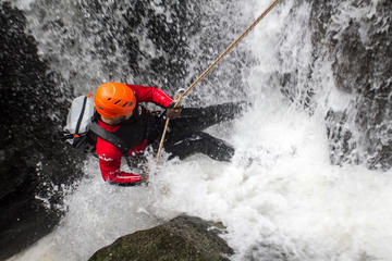 Full Day Tropical Rainforest Canyoning Adventure from Sydney