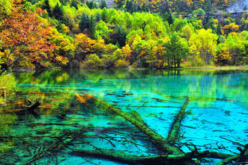 3 Day Private Tour of Jiuzhaigou and Huanglong by Minivan