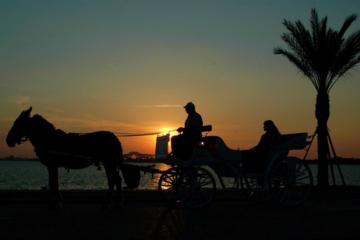 3-Hour Private Luxor Horse Carriage City Tour