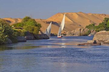 Day Tour to Aswan from Luxor by Bus
