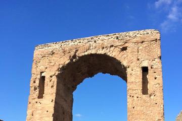 Private Tour: Day Trip Excursion to Herculaneum Mt Vesuvius and Pompeii