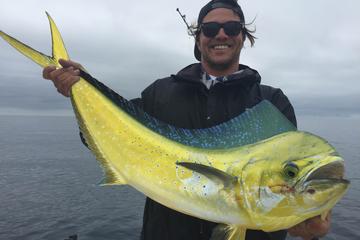 Day Trip Full Day Private Fishing Charter from Dana Point near Dana Point, California 