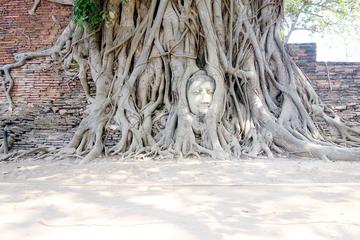 Ayutthaya and River Barge Lunch