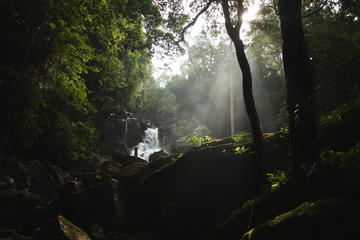 2 Day Private Tour - Rainforest Explorer from Bentota