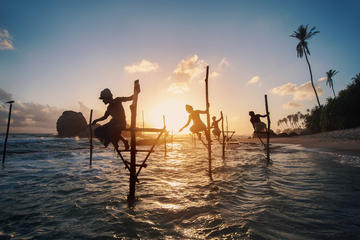 2 Day Private Tour - Sea, Sand & Marine Life from Colombo