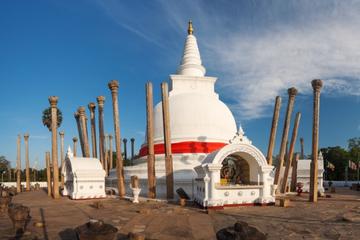 2 Day Private Tour to Wilpattu and Anuradhapura from Colombo