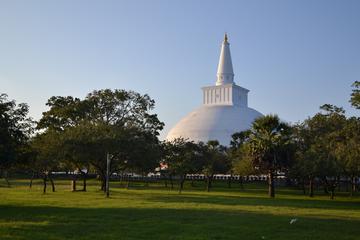 3 Day Private Tour - Sacred City of Anuradhapura from Colombo
