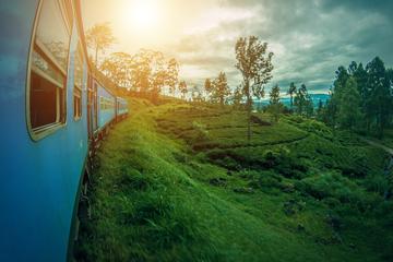Adisham Rail Tour from Ella