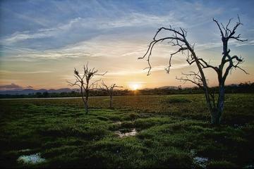 Camping in Wasgamuwa National Park