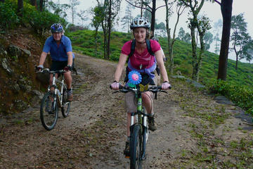 Hanthana Tea Plantation Private Cycling Tour