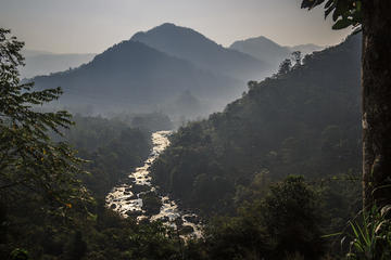 Kitulgala Forest Adventure from Kandy