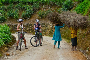 Nuwara Eliya Tea Trails Private Cycling Tour