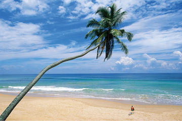 Private Day Tour: Coastal Ride to Galle from Colombo