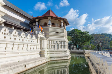 Private Day Tour: Kandy from Hikkaduwa