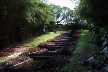 Private Day Tour: Lunuganga Estate Meetiyagoda and Madu River from Galle