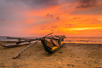 Private Day Tour: Negombo City Tour from Negombo