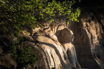 Private Day Tour: Polonnaruwa and Minneriya from Kandy