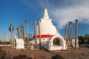 Private Day Tour: Sacred City of Anuradhapura from Colombo